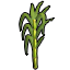 File:Sugarcane.png